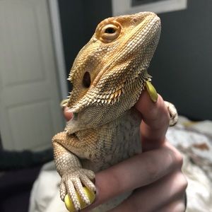 Meet your Posher, Nicole